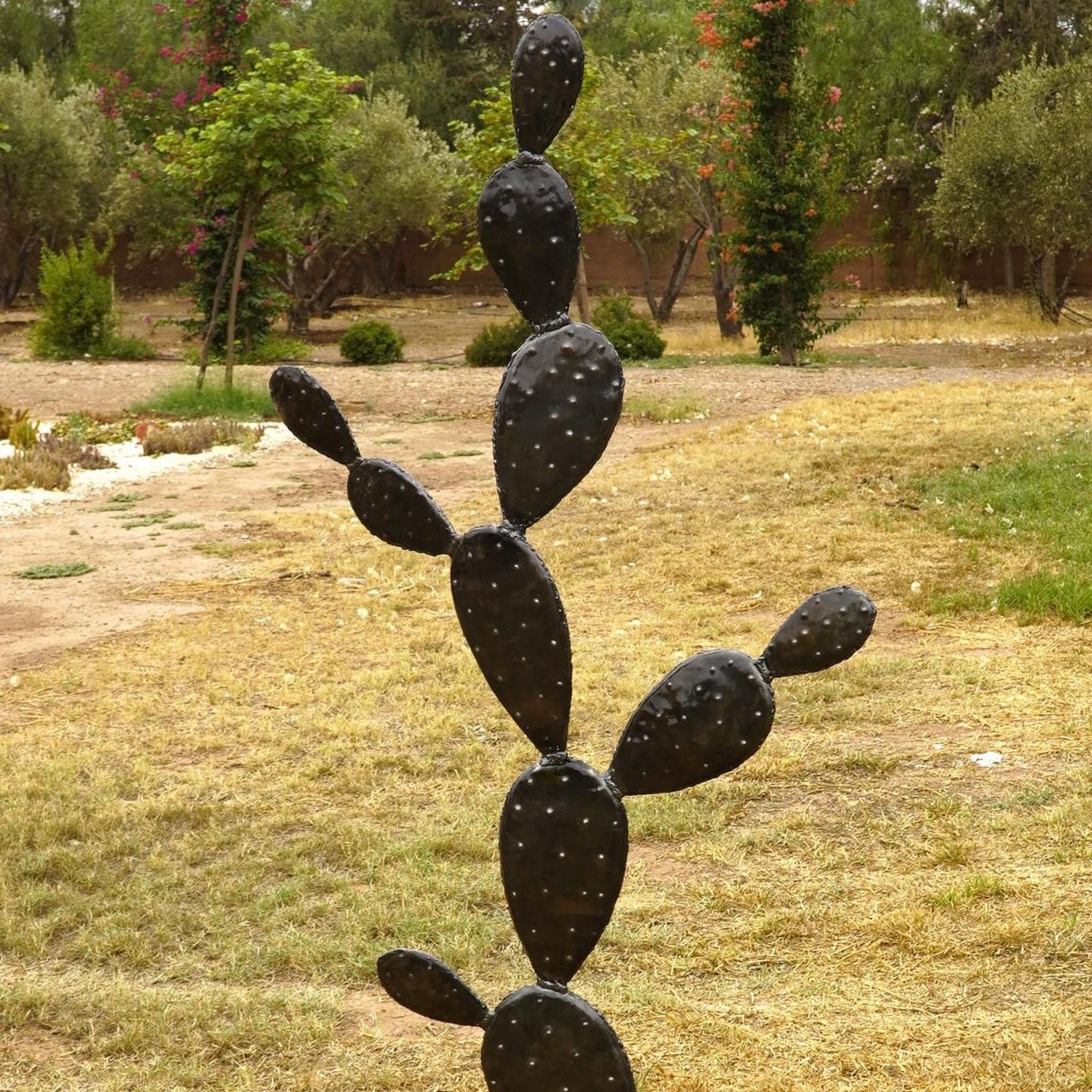 cactus metal, cactus deco, deco cactus exterieur, cactus deco exterieur, cactus metal jardin, cactus exterieur deco, statue cactus, cactus decoration, cactus décoration extérieur, statue cactus extérieur, sculpture cactus, decoration cactus, cactus métal extérieur, cactus acier, contemporain jardin cactus, cactus original, deco cactus, amenagement jardin avec cactus, jardin cactus, jardin de cactus, jardin des cactus, Sculpture en metal.