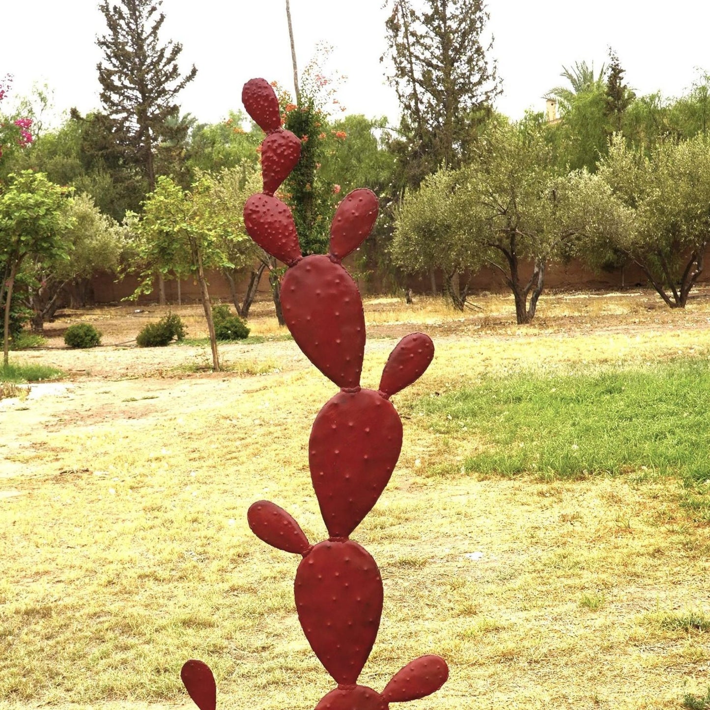 cactus metal, cactus deco, deco cactus exterieur, cactus deco exterieur, cactus metal jardin, cactus exterieur deco, statue cactus, cactus decoration, cactus décoration extérieur, statue cactus extérieur, sculpture cactus, decoration cactus, cactus métal extérieur, cactus acier, contemporain jardin cactus, cactus original, deco cactus, amenagement jardin avec cactus, jardin cactus, jardin de cactus, jardin des cactus, Sculpture en metal.