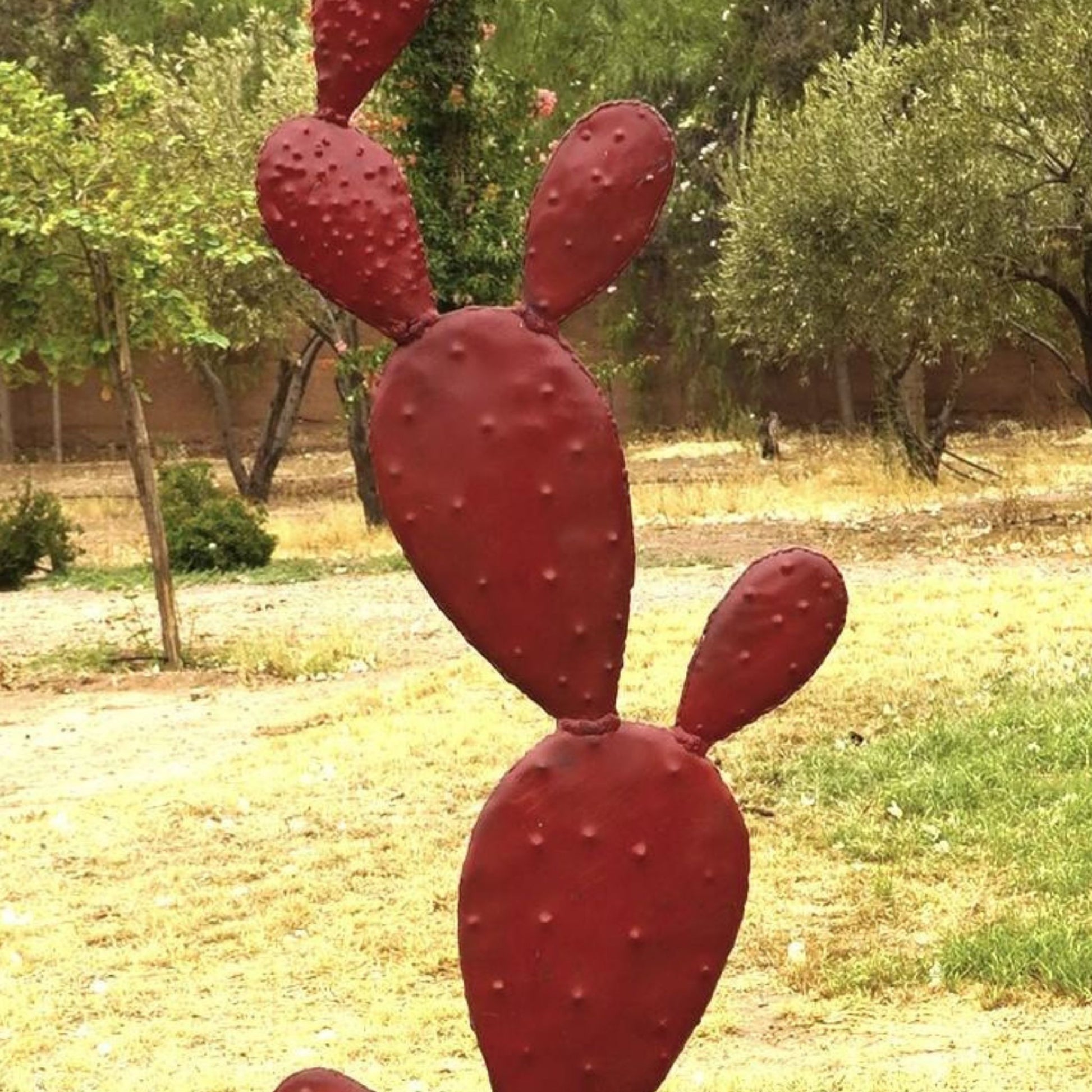 cactus metal, cactus deco, deco cactus exterieur, cactus deco exterieur, cactus metal jardin, cactus exterieur deco, statue cactus, cactus decoration, cactus décoration extérieur, statue cactus extérieur, sculpture cactus, decoration cactus, cactus métal extérieur, cactus acier, contemporain jardin cactus, cactus original, deco cactus, amenagement jardin avec cactus, jardin cactus, jardin de cactus, jardin des cactus, Sculpture en metal.
