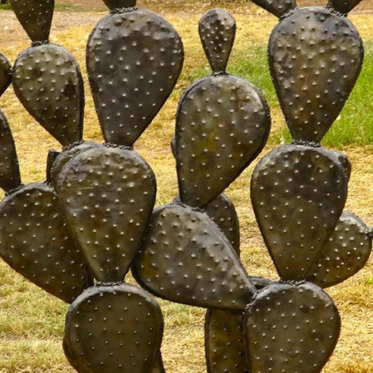 cactus metal, cactus deco, deco cactus exterieur, cactus deco exterieur, cactus metal jardin, cactus exterieur deco, statue cactus, cactus decoration, cactus décoration extérieur, statue cactus extérieur, sculpture cactus, decoration cactus, cactus métal extérieur, cactus acier, contemporain jardin cactus, cactus original, deco cactus, amenagement jardin avec cactus, jardin cactus, jardin de cactus, jardin des cactus, Sculpture en metal.