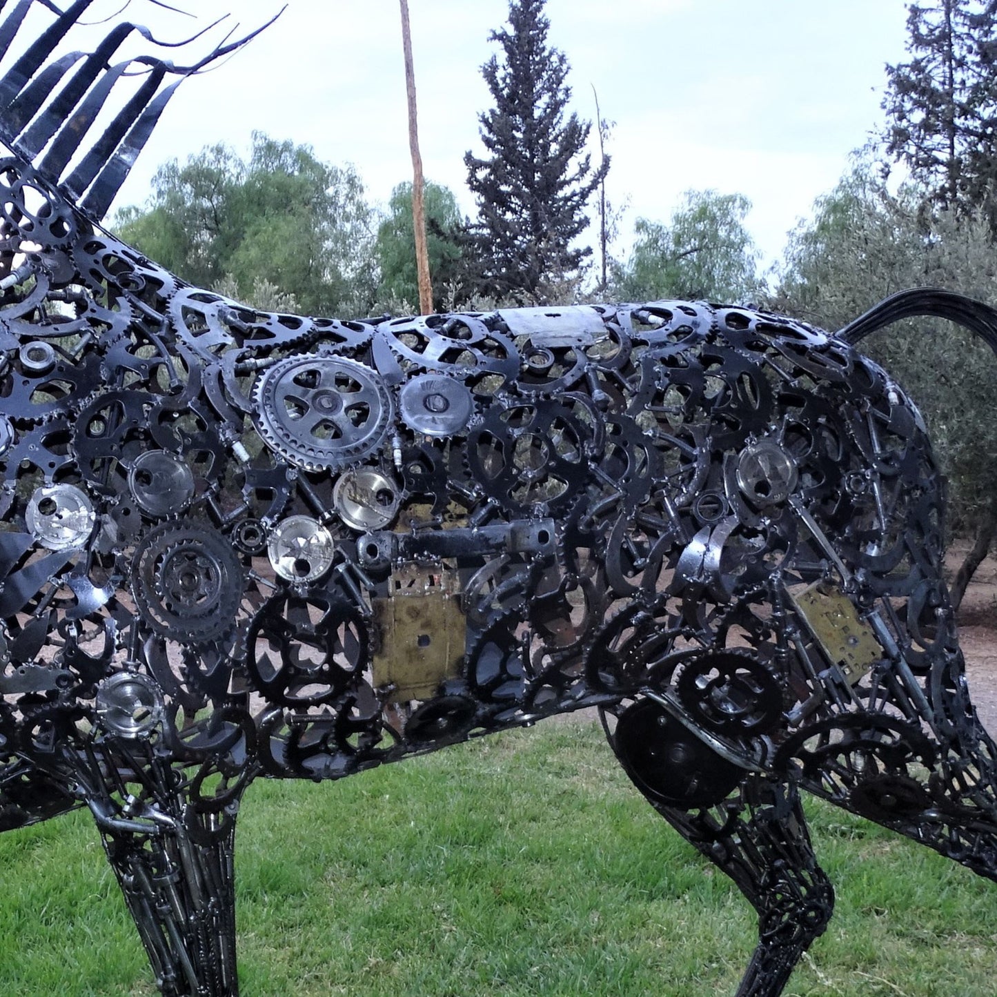 Cheval au Trot