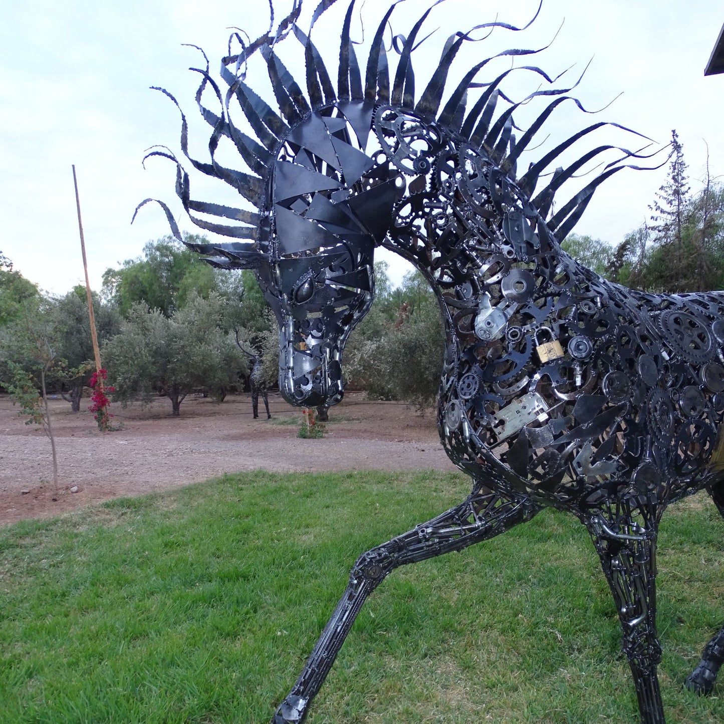 Cheval au Trot
