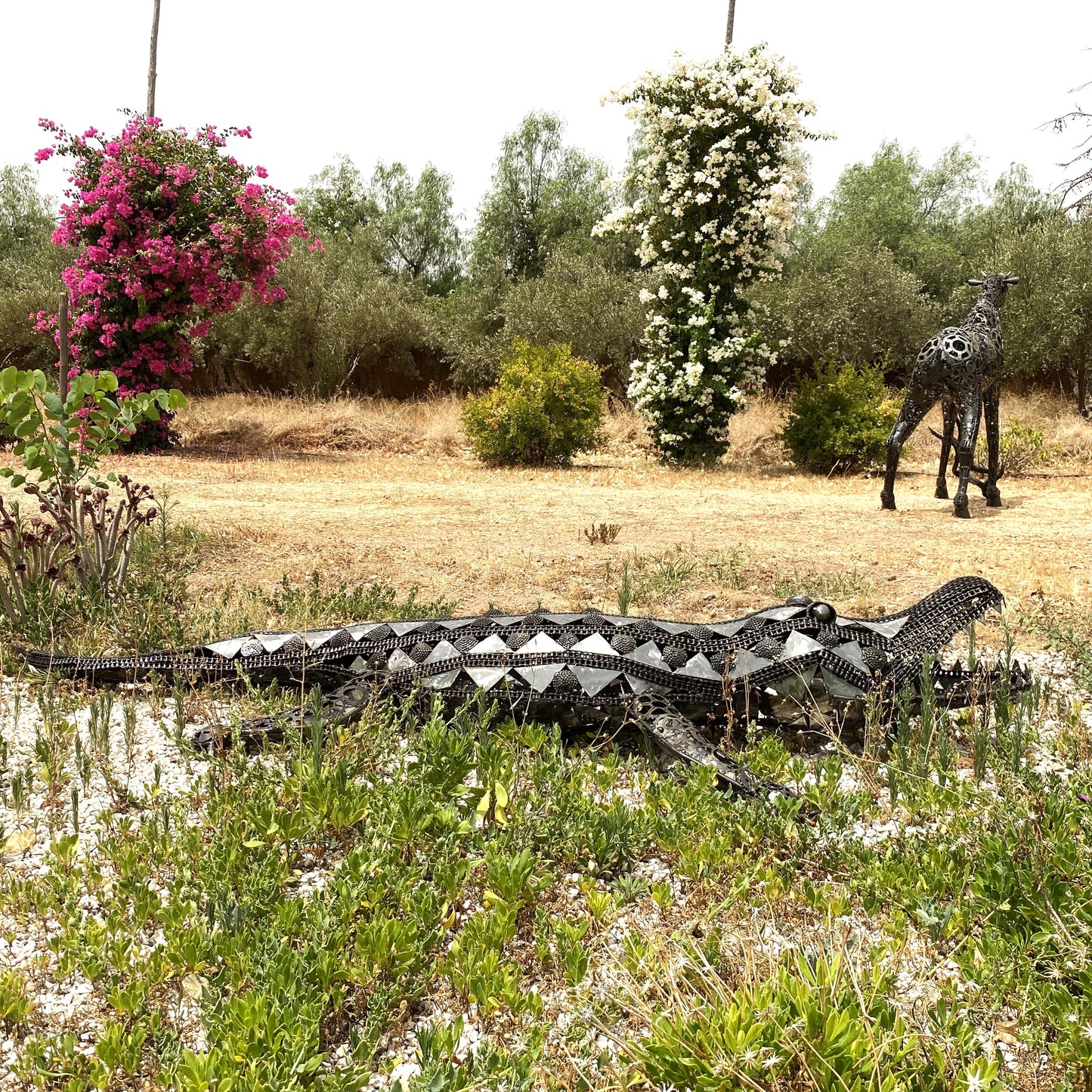 Sculpture crocodile en métal recyclé – H45 × L276 × l120 cm